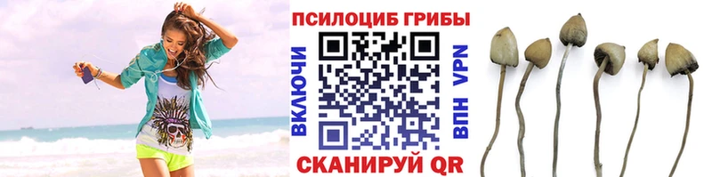 Галлюциногенные грибы прущие грибы  даркнет сайт  Михайловск 